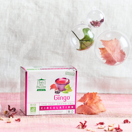 Gingo