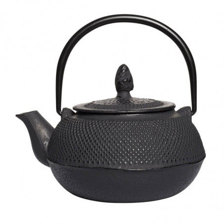 Black Cast Iron Teapot