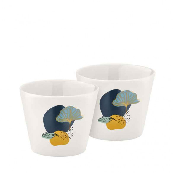2 Bols Komorebi