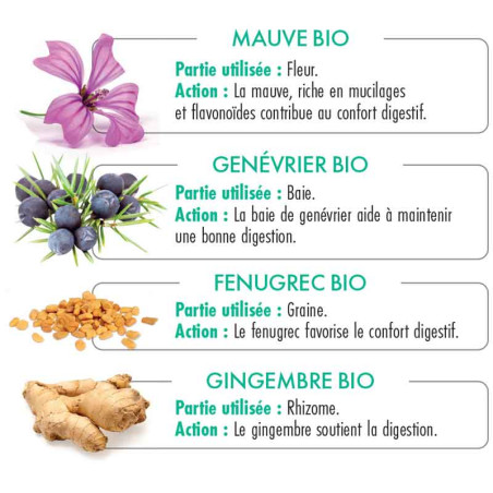 DIGESTAO - ingrédients