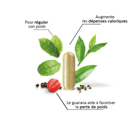 gélule pour la minceur bio et vegan