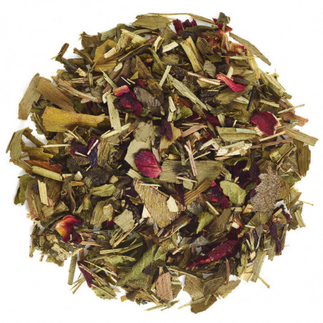 Gingo - Blend
