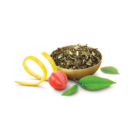 Blend du thé Sveltaé pour réaliser une cure minceur