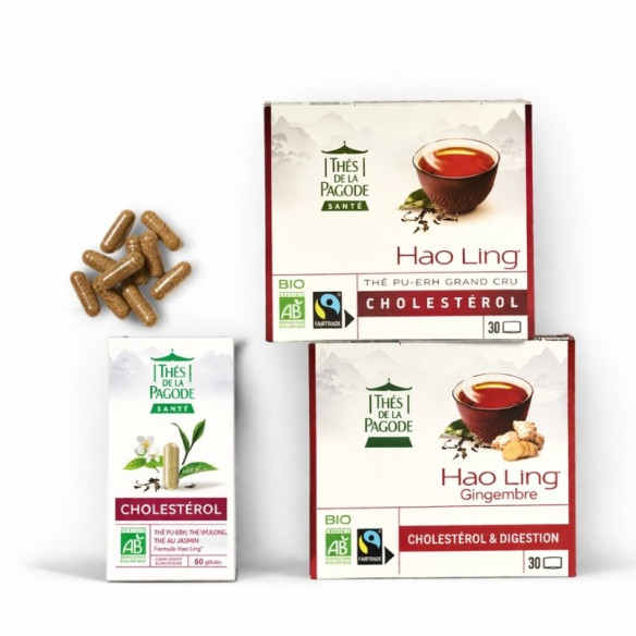 Lot Cholestérol Thes bio et...