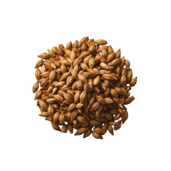 Infusion Mugicha Bio