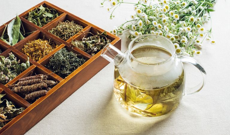 Les 10 plantes pour mieux dormir