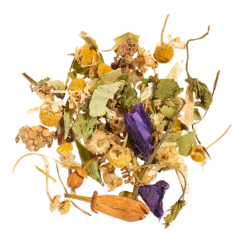 Infusions