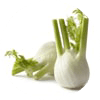 Fenouil