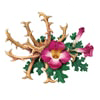 Harpagophytum