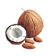 Eclats de noix de coco