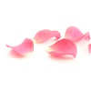 Pétales de roses