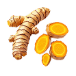 Curcuma