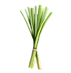 Citronnelle