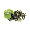 Thé vert sencha