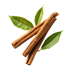Cannelle