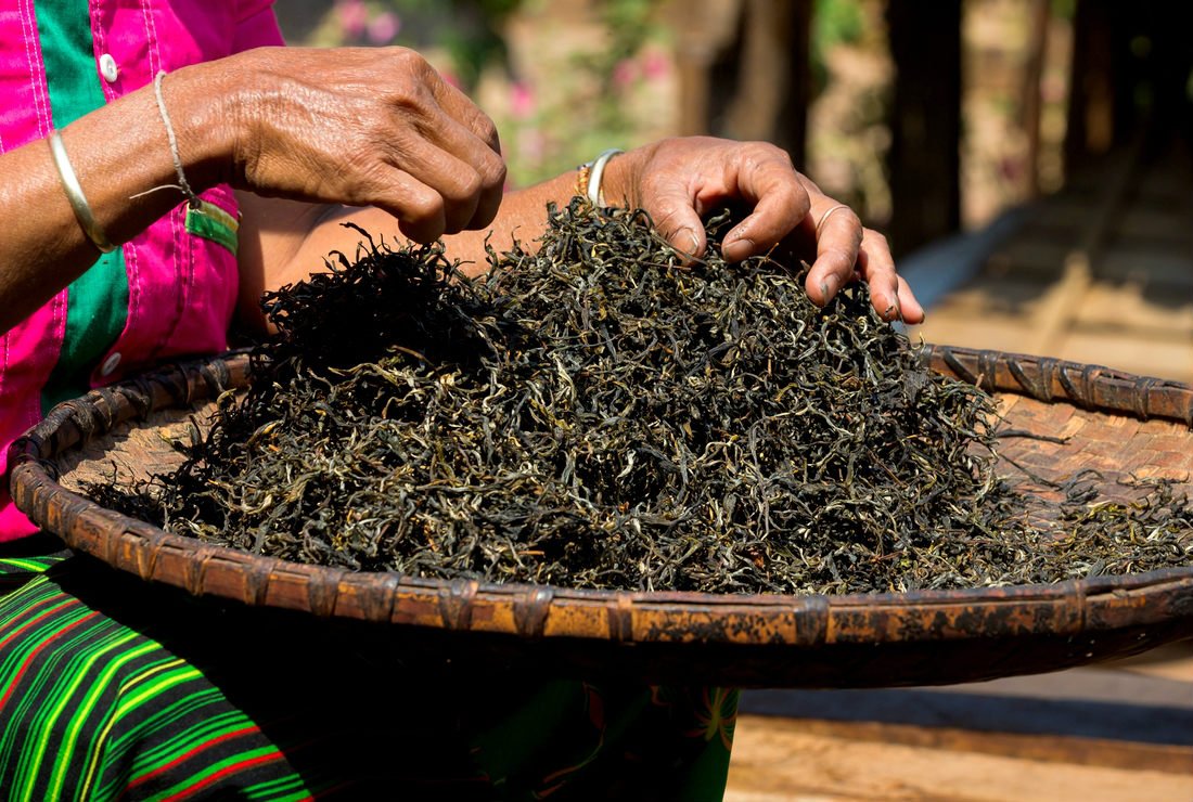 Effet d’un extrait de thé Hao Ling® (Camellia sinensis) sur l’activité antioxydante et hépatoprotectrice sur une culture primaire d’hépatocytes de rat