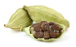 Cardamome - boost vitalité anti fatigue