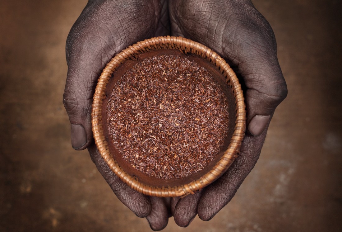 Le rooibos : quels sont ses bienfaits ?