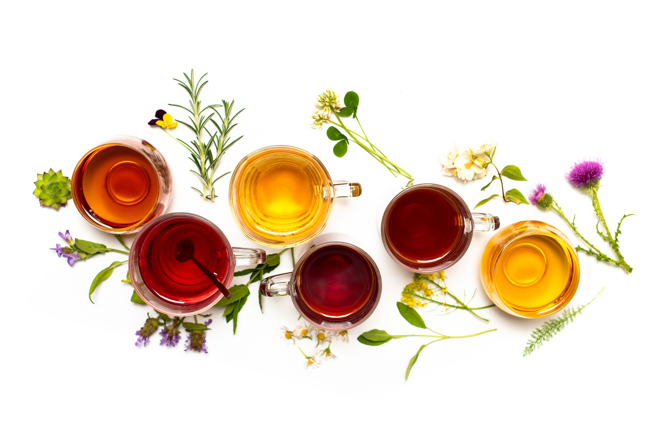 Est-ce que la tisane peut aider le transit ?
