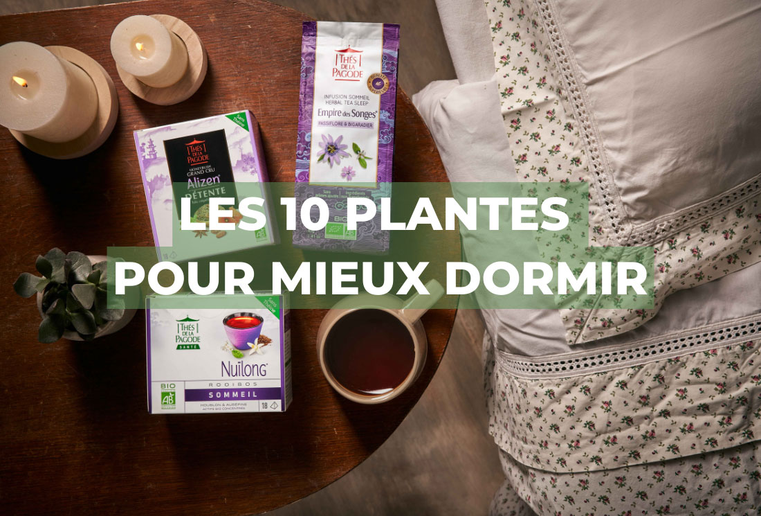 Les 10 plantes pour mieux dormir