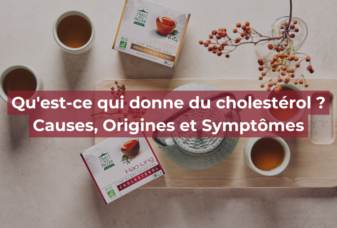 Qu’est-ce qui donne du cholestérol ? Causes, Origines et Symptômes
