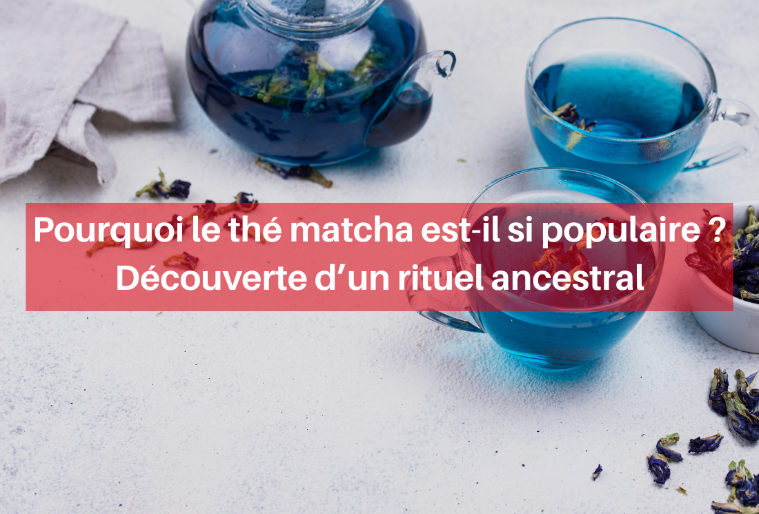 Pourquoi le thé matcha est-il si populaire ? Découverte d’un rituel ancestral
