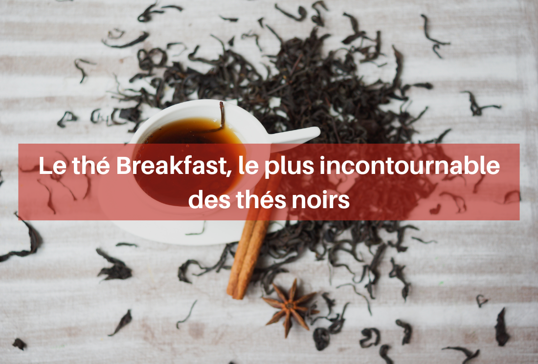 Le thé noir Breakfast, le plus incontournable des thés noirs