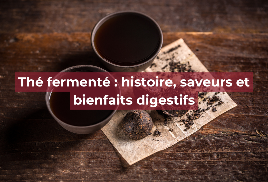 Thé fermenté : histoire, saveurs et bienfaits digestifs